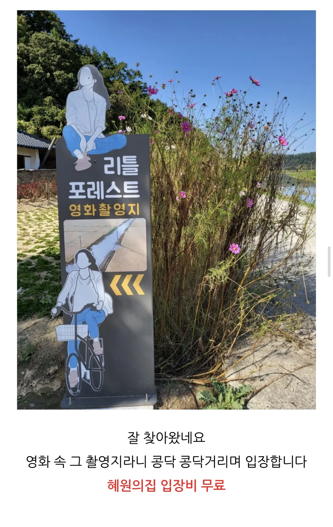Little Forest Filming Site photo 11