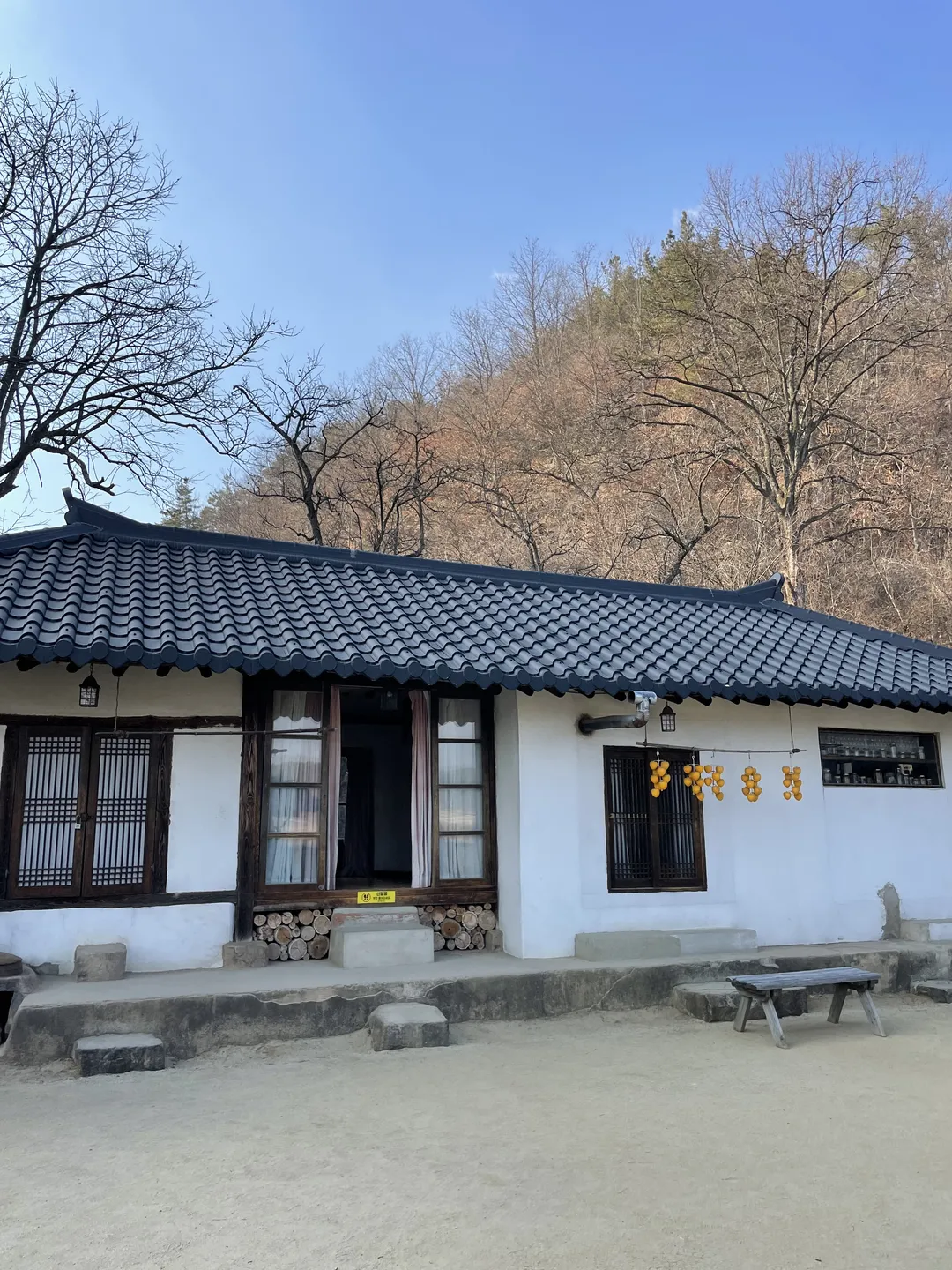 Little Forest Filming Site photo 9