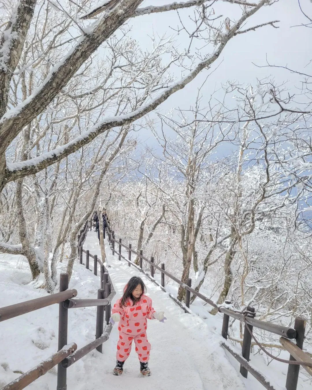 무주덕유산곤도라 사진 10
