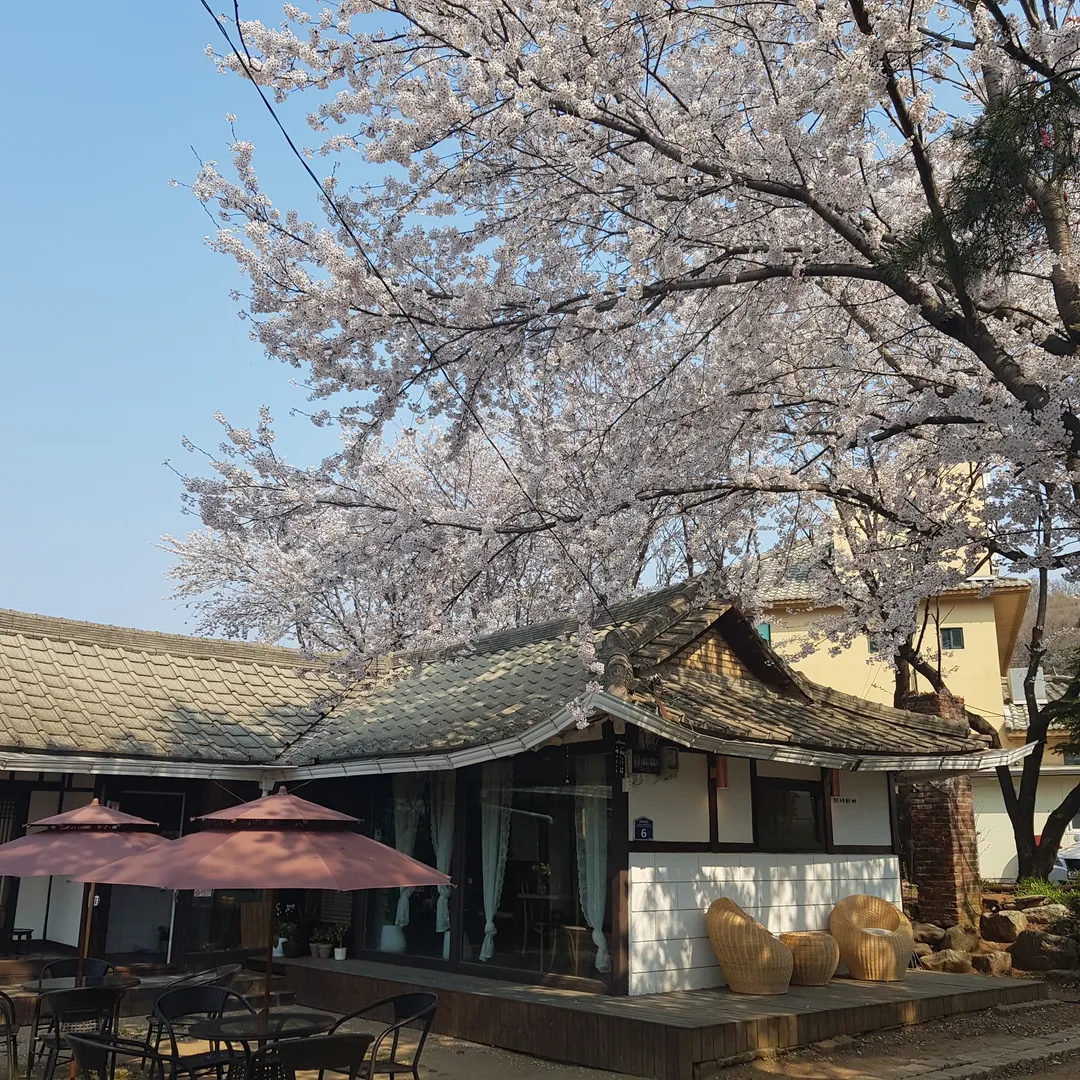 희소식