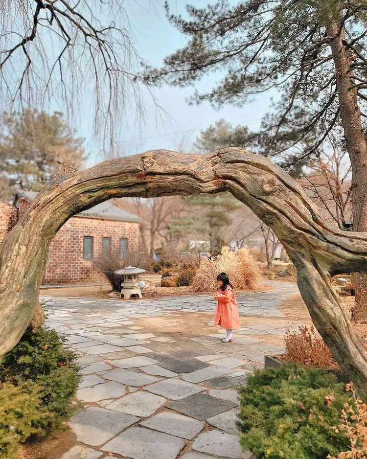 헤세의 정원 사진 6