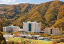 비발디파크 앵콜특가
