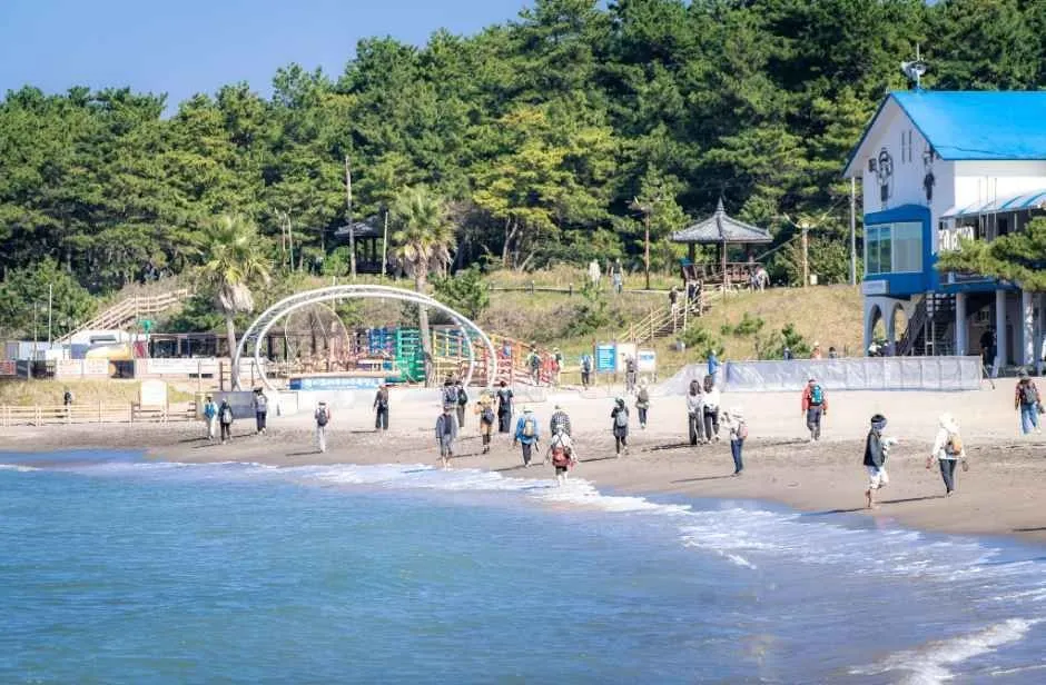 <축제> 2026 제주올레걷기축제 (26/11/05 ~ 26/11/07) 사진 10