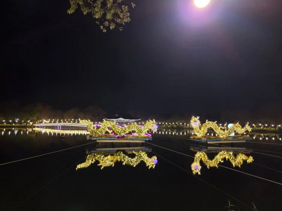 <축제> 부여국화축제 (26/10/30 ~ 26/11/08) 사진 6