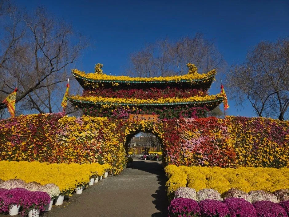 <축제> 부여국화축제 (26/10/30 ~ 26/11/08)
