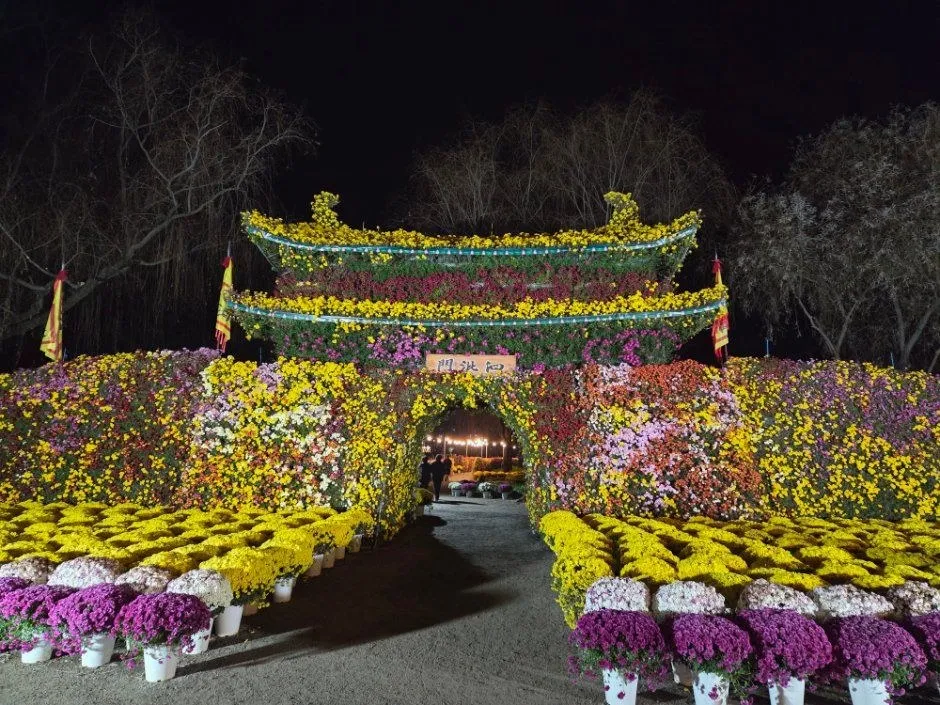 <축제> 부여국화축제 (26/10/30 ~ 26/11/08)
