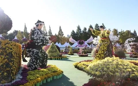 <축제> 익산천만송이 국화축제 - GLOW IKSAN (26/10/23 ~ 26/11/01)