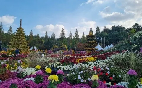 <축제> 익산천만송이 국화축제 - GLOW IKSAN (26/10/23 ~ 26/11/01) 사진 7