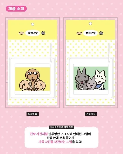 <팝업> 강아고영 팝업 (26/10/20 ~ 26/11/01) 사진 15