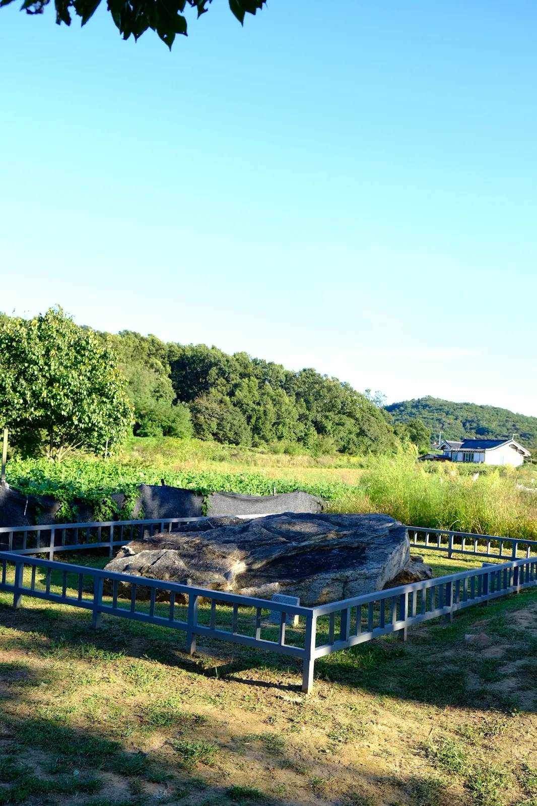 Ganghwa Dolmen Site photo 11