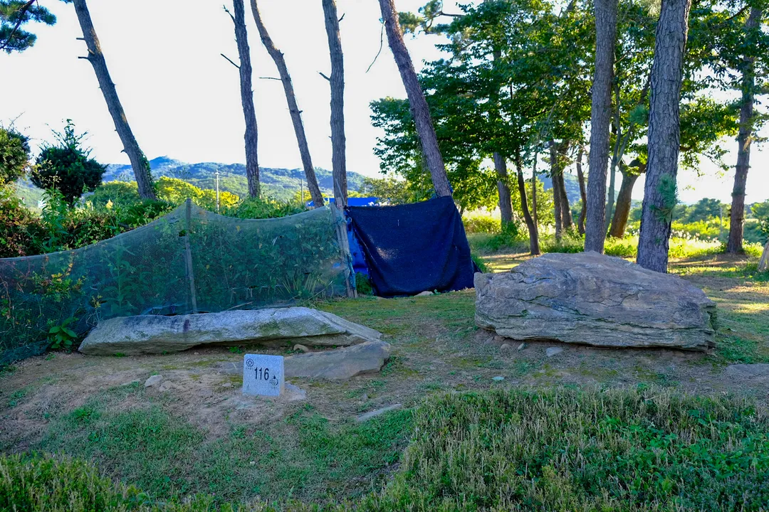 Ganghwa Dolmen Site photo 10
