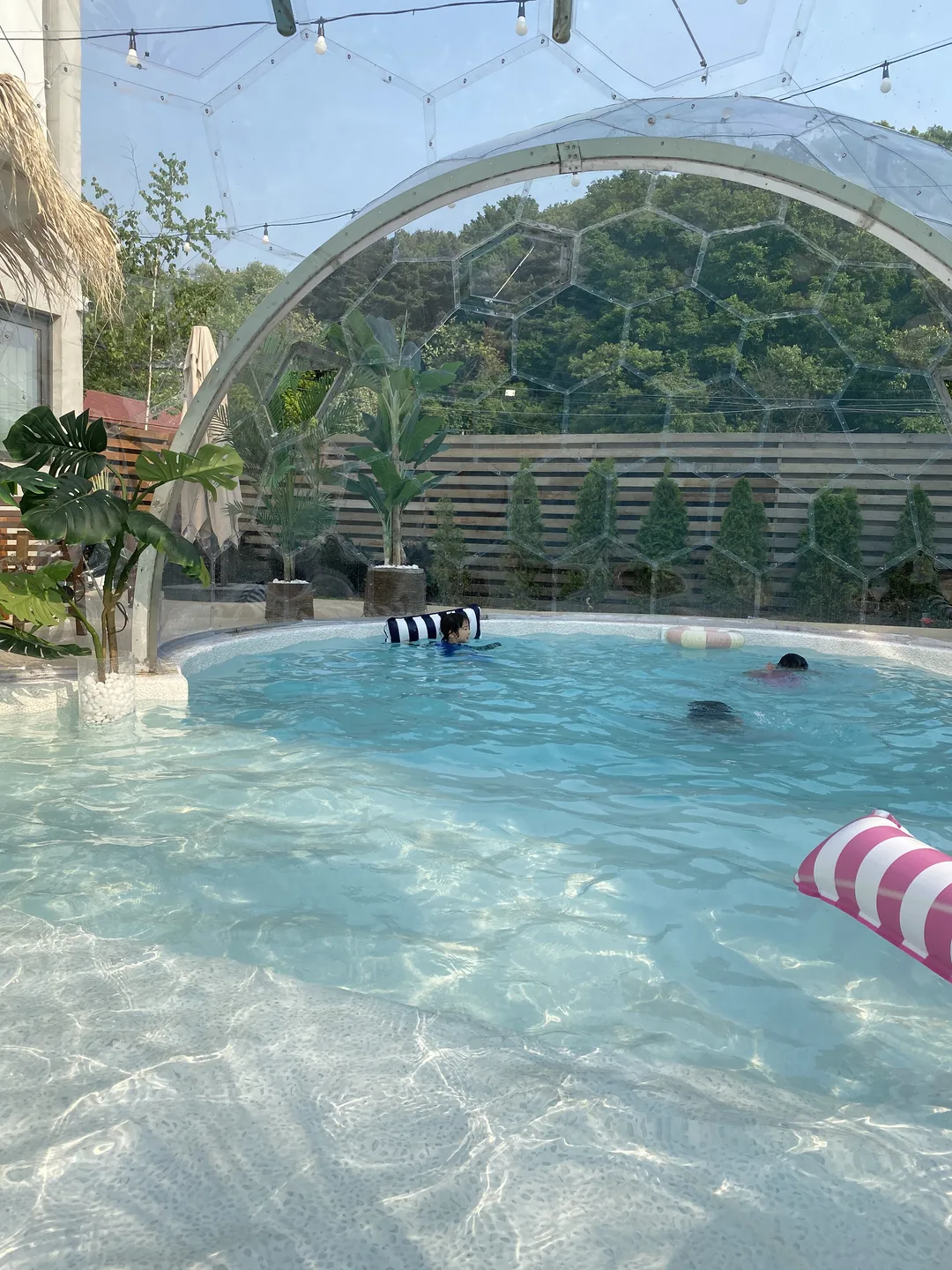 용인 편집