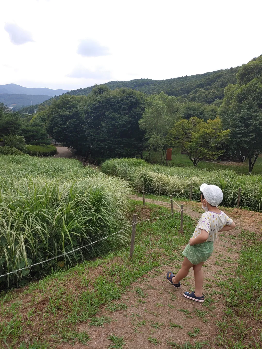 용인자연휴양림 사진 8