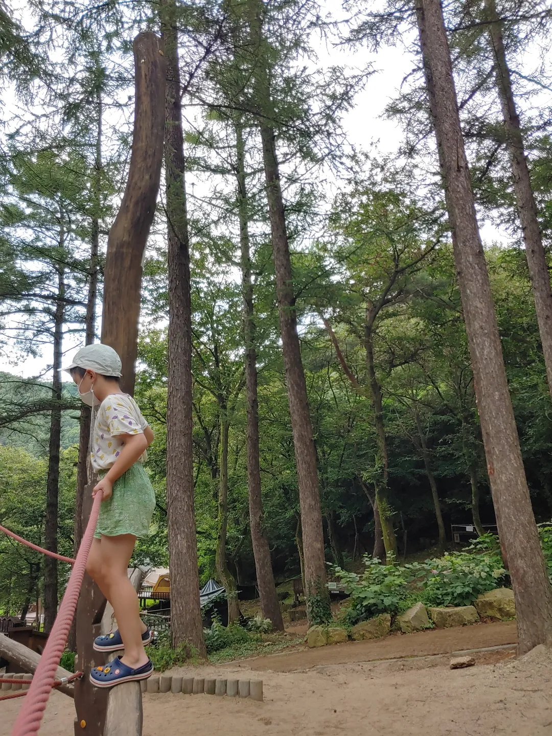 용인자연휴양림 사진 6