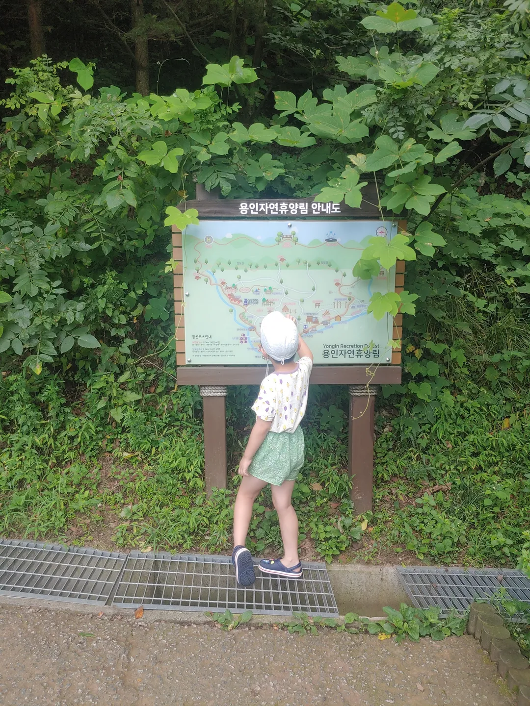 용인자연휴양림 사진 10