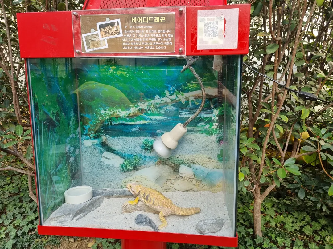 九里市昆虫生態館 写真 13
