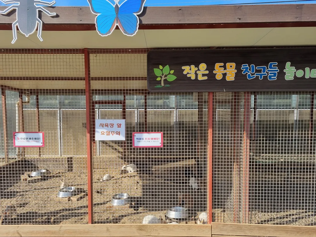 九里市昆虫生態館 写真 12