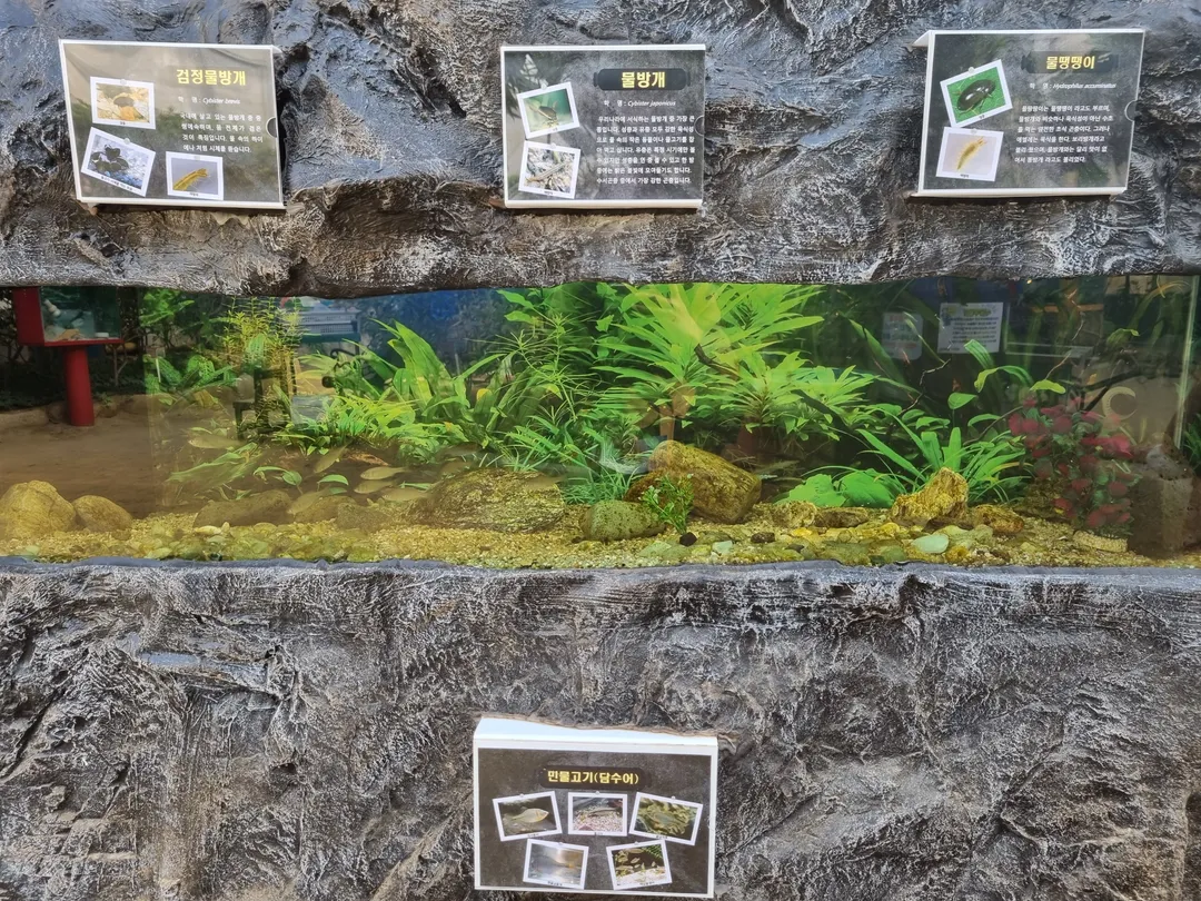 九里市昆虫生態館 写真 14