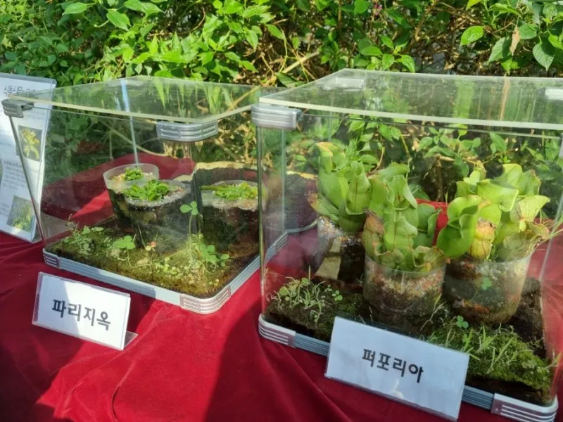 九里市昆虫生態館 写真 16