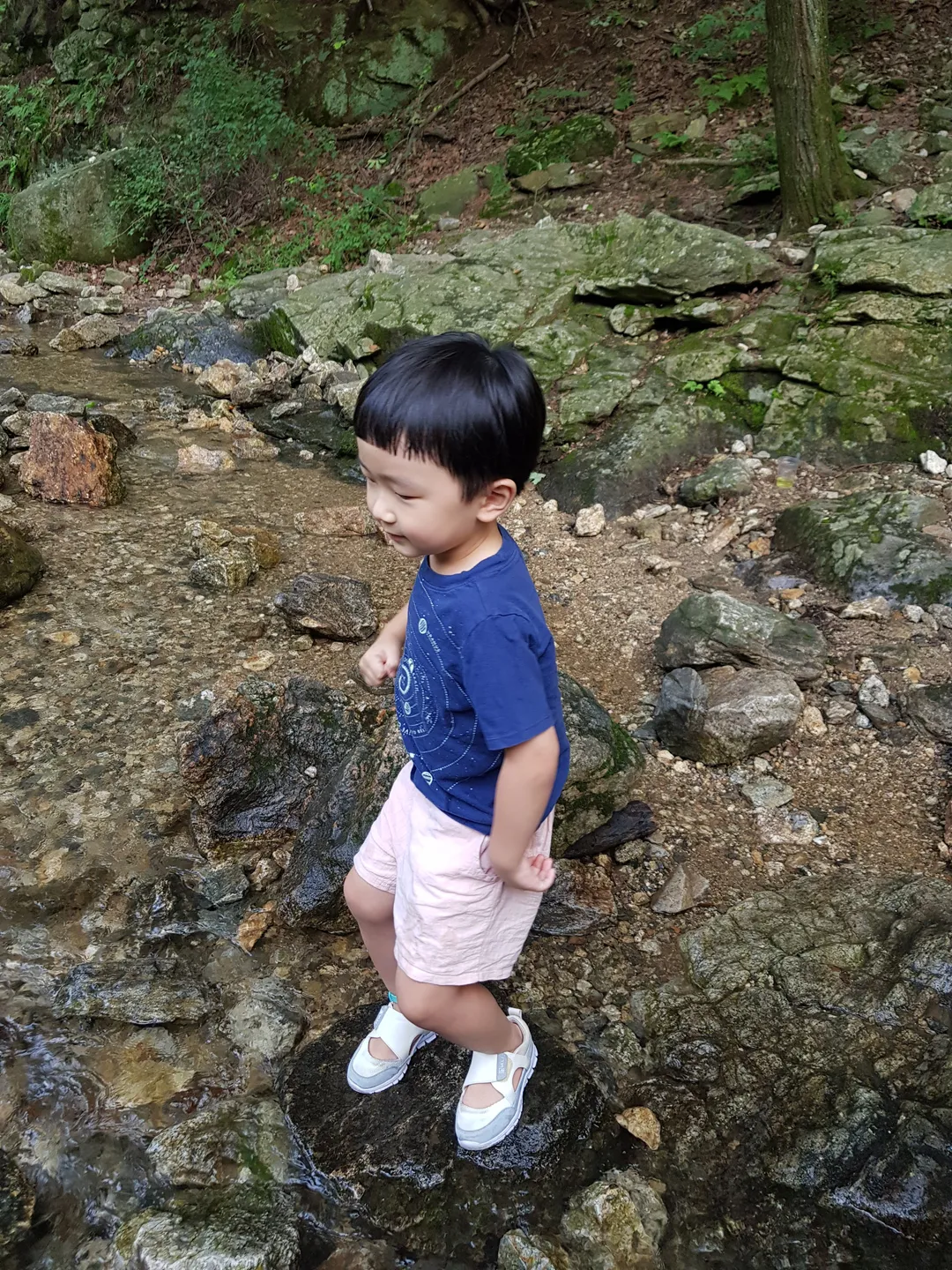 코나헤이븐 사진 9