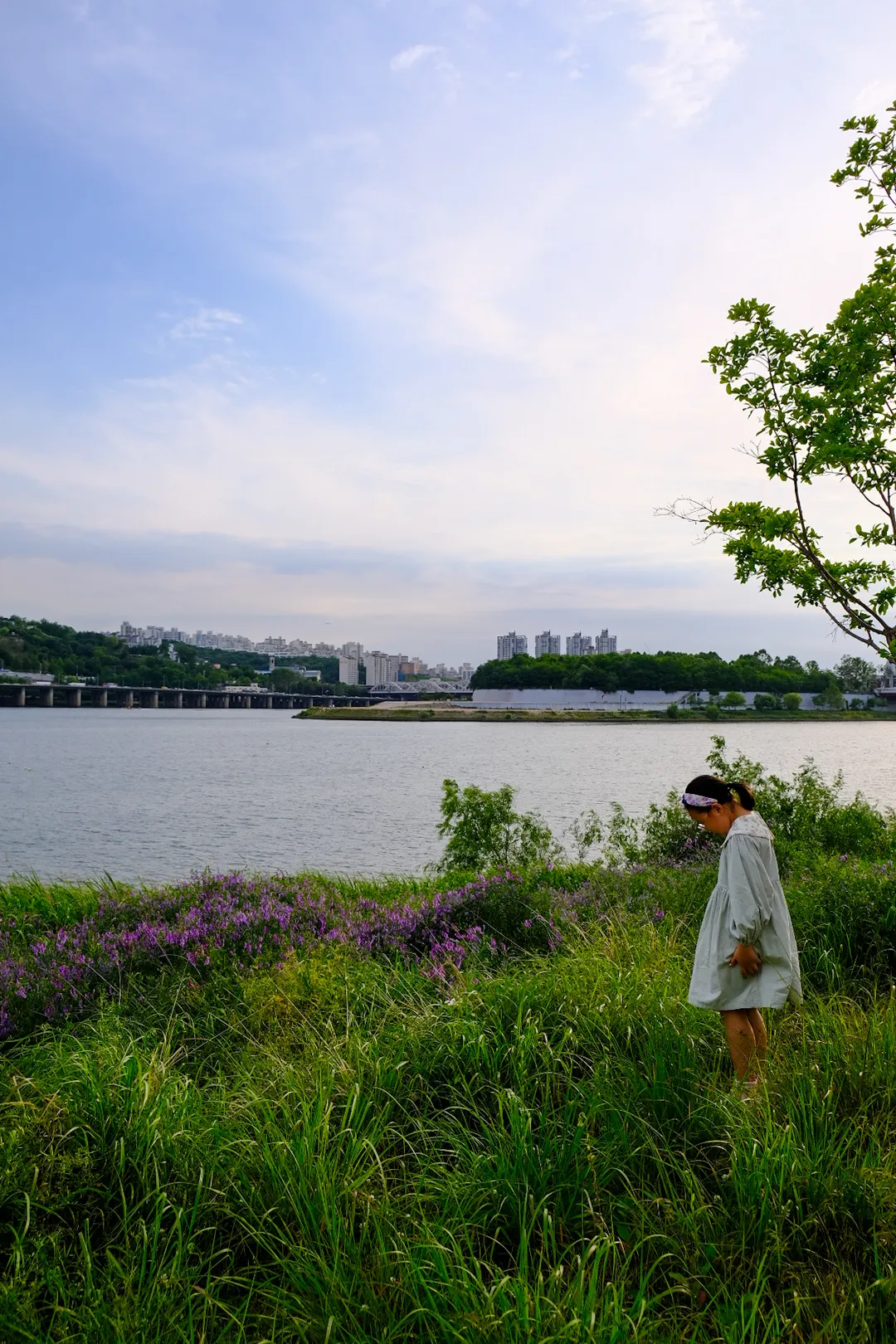 이촌 한강공원 사진 6