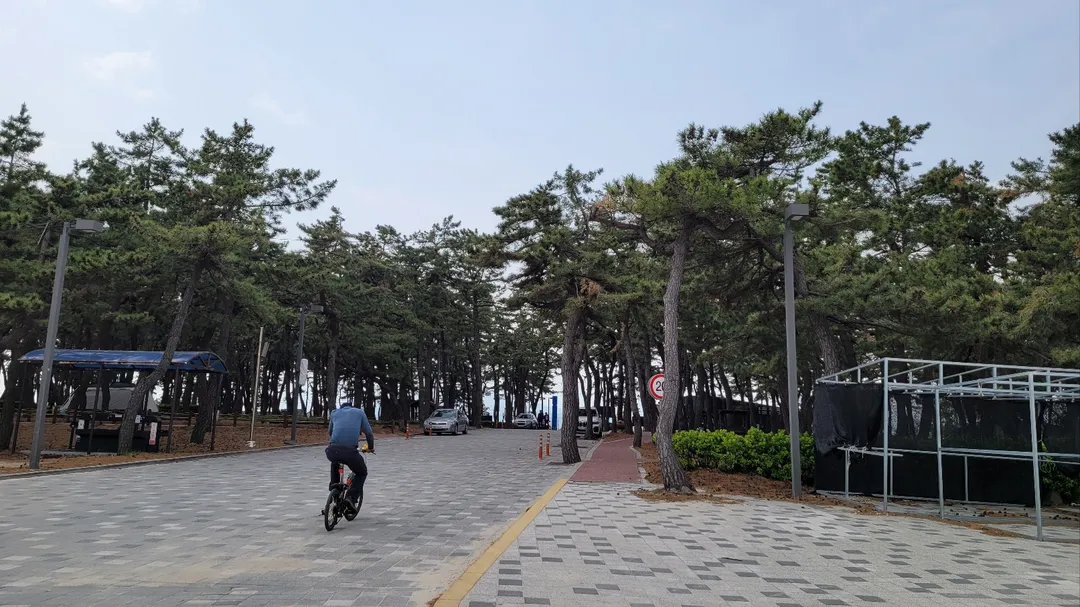 연곡해변솔향기캠핑장 사진 6
