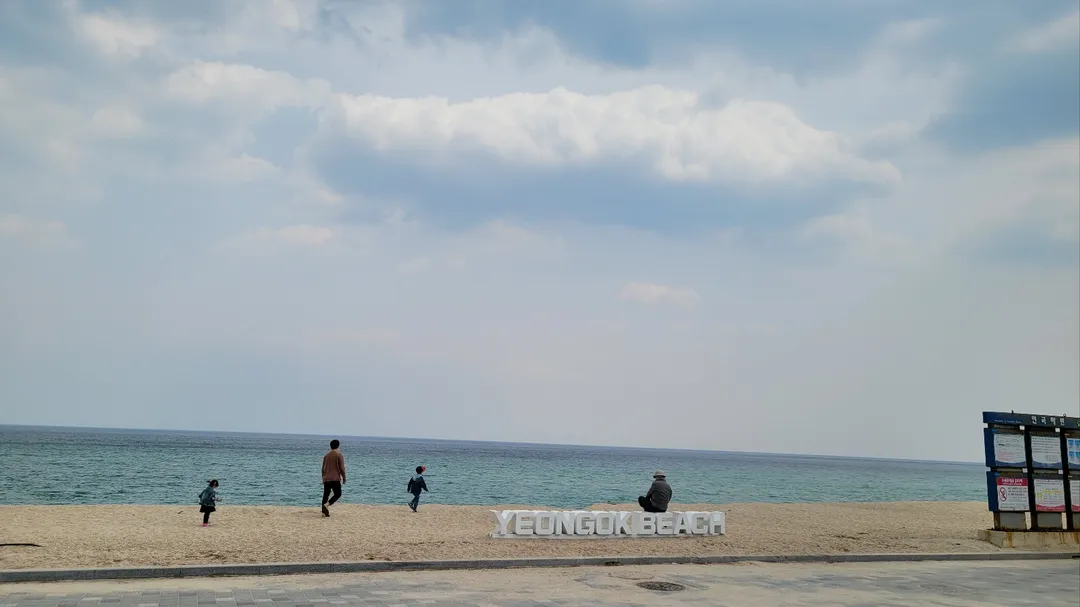 연곡해변솔향기캠핑장 사진 7