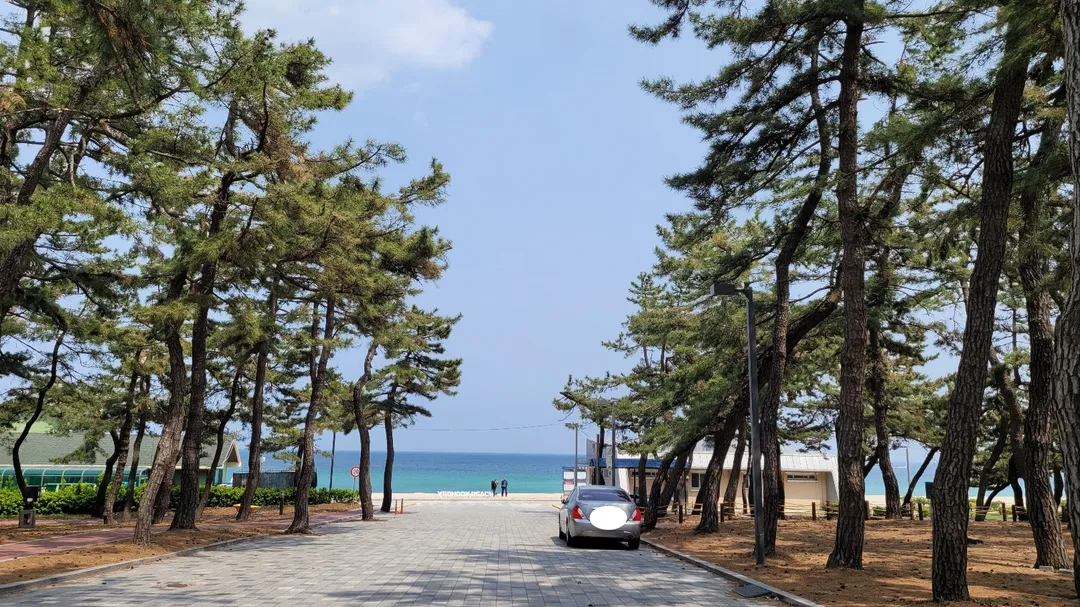 연곡해변솔향기캠핑장 사진 10