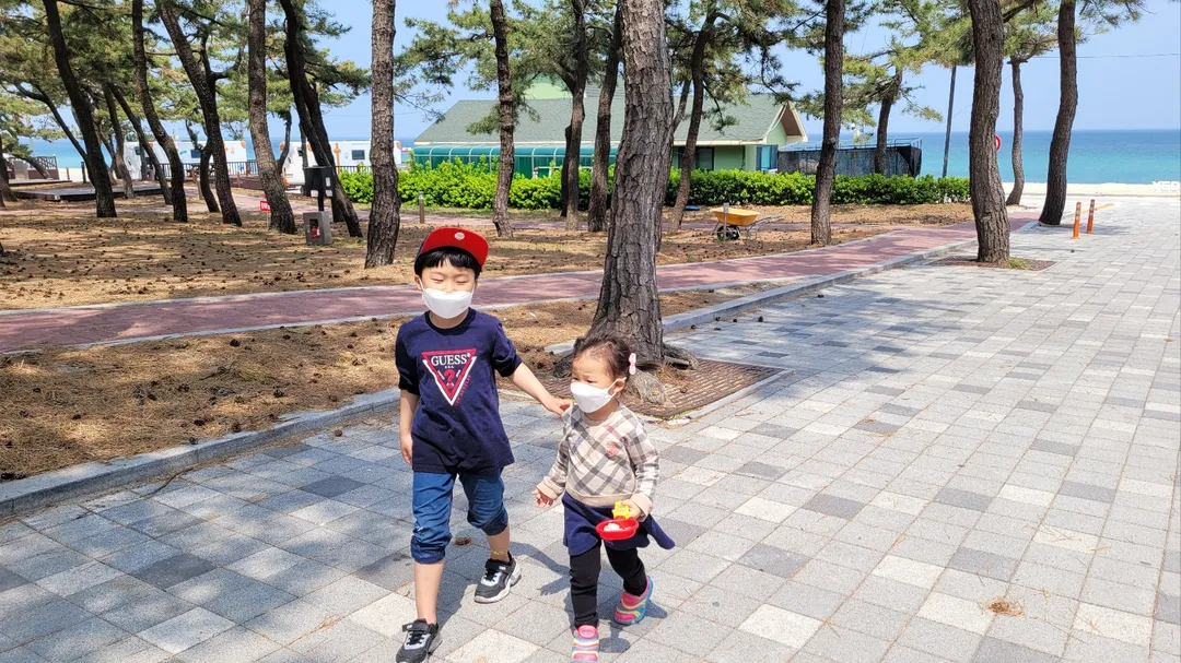 연곡해변솔향기캠핑장 사진 11