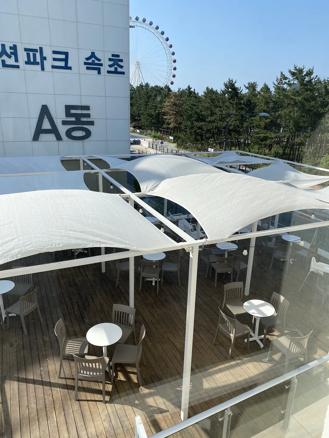 보사노바 커피로스터스 속초점 사진 11