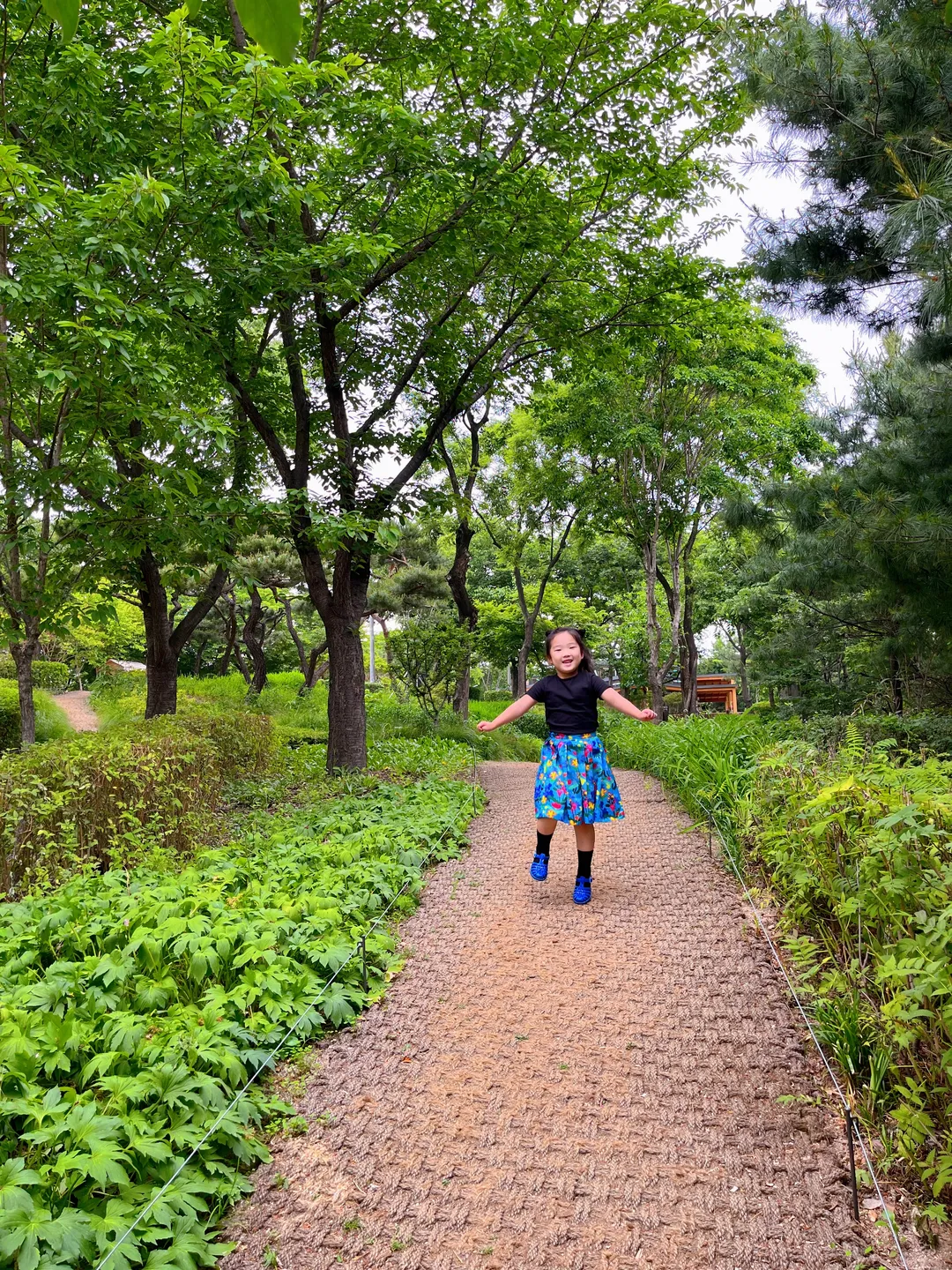 오동숲속도서관 사진 8