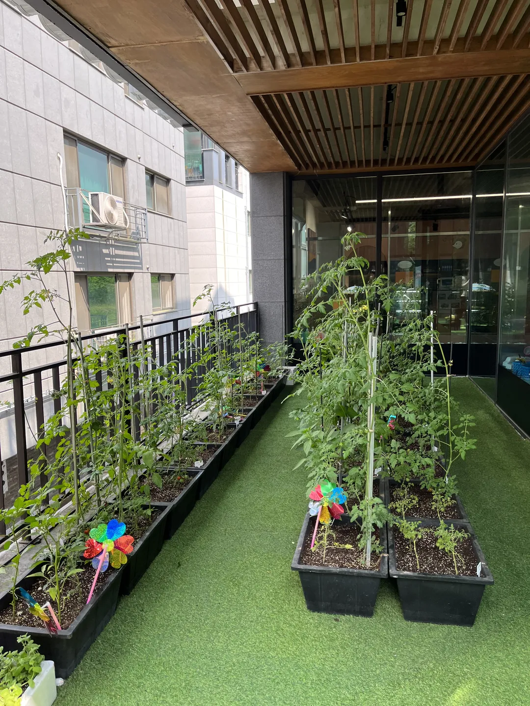 까사드밤비노 사진 19