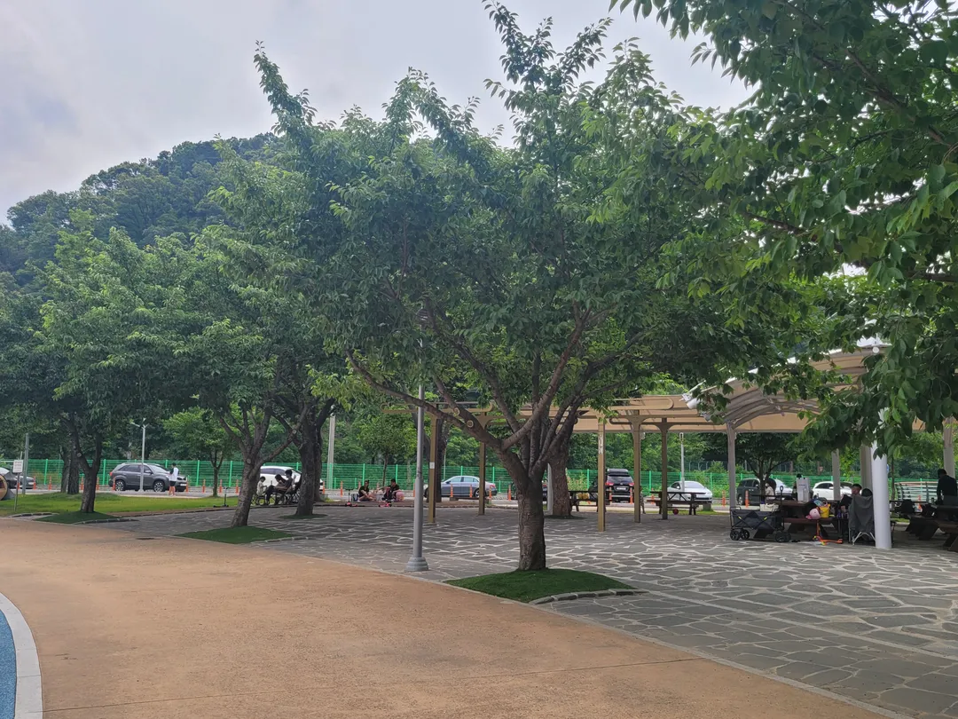 수성패밀리파크 사진 9