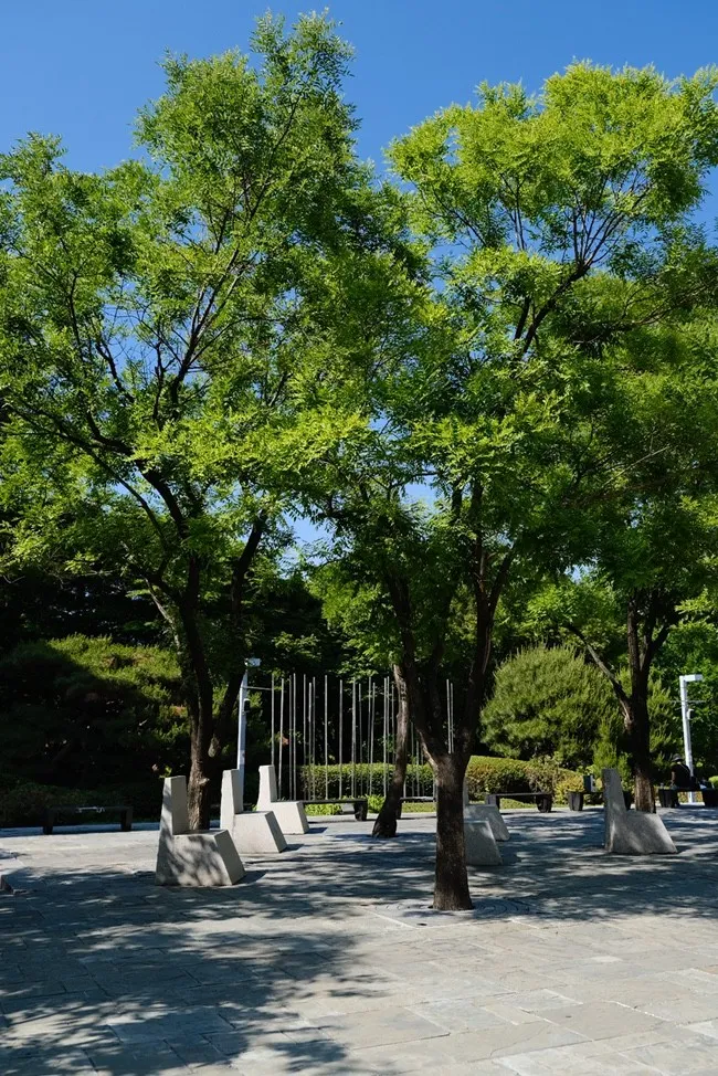 ソウル市立美術館 写真 9
