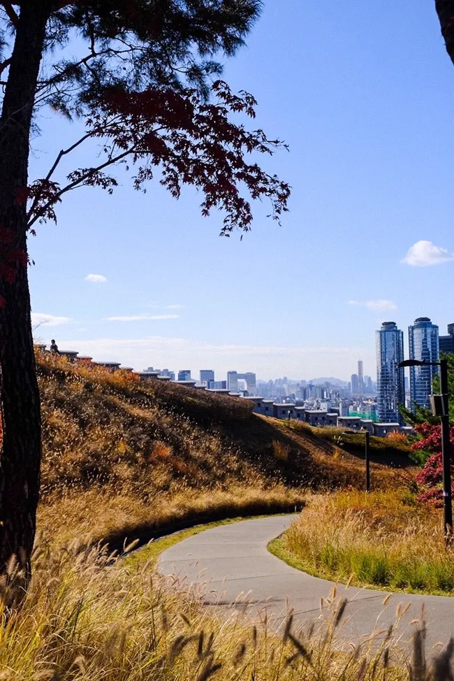 白凡広場公園 写真 9