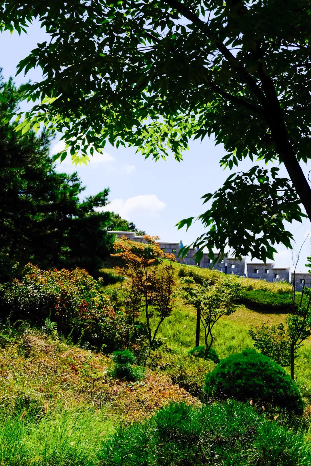 白凡広場公園 写真 13