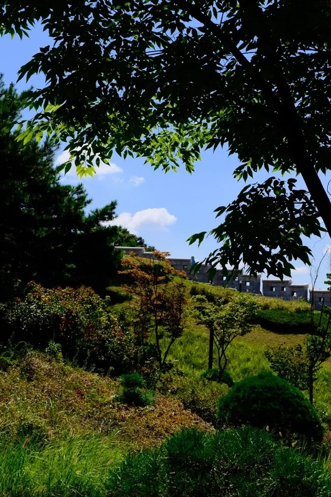白凡広場公園 写真 10