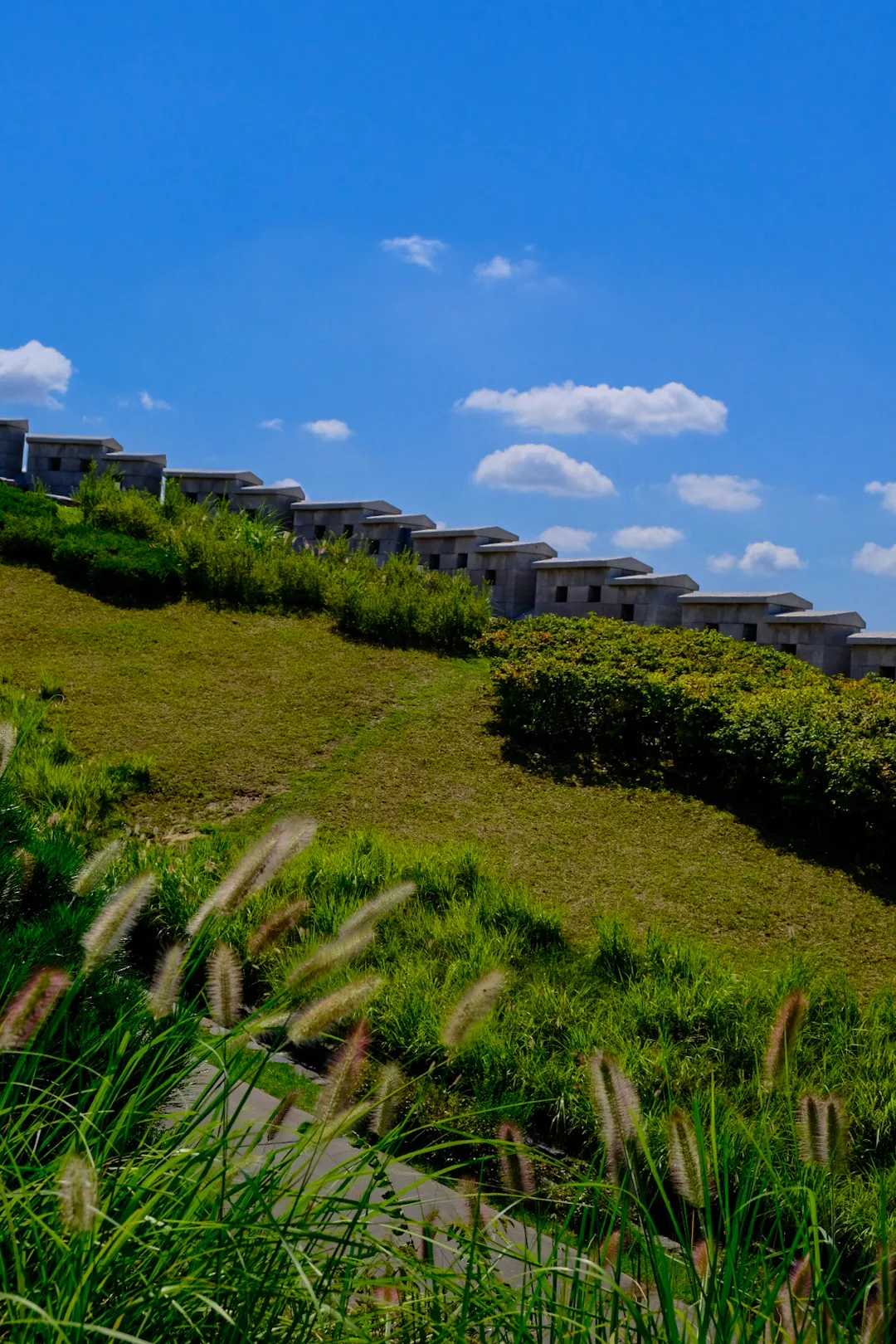 白凡広場公園 写真 14
