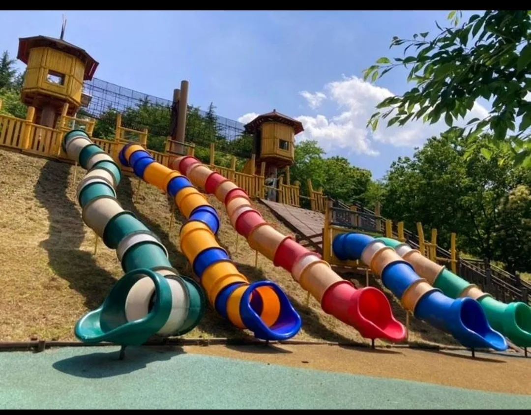 울산자드락숲