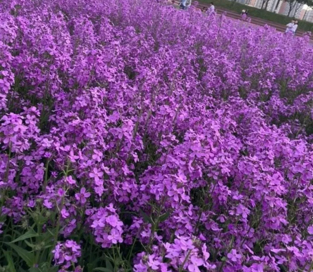 영천생태지구공원