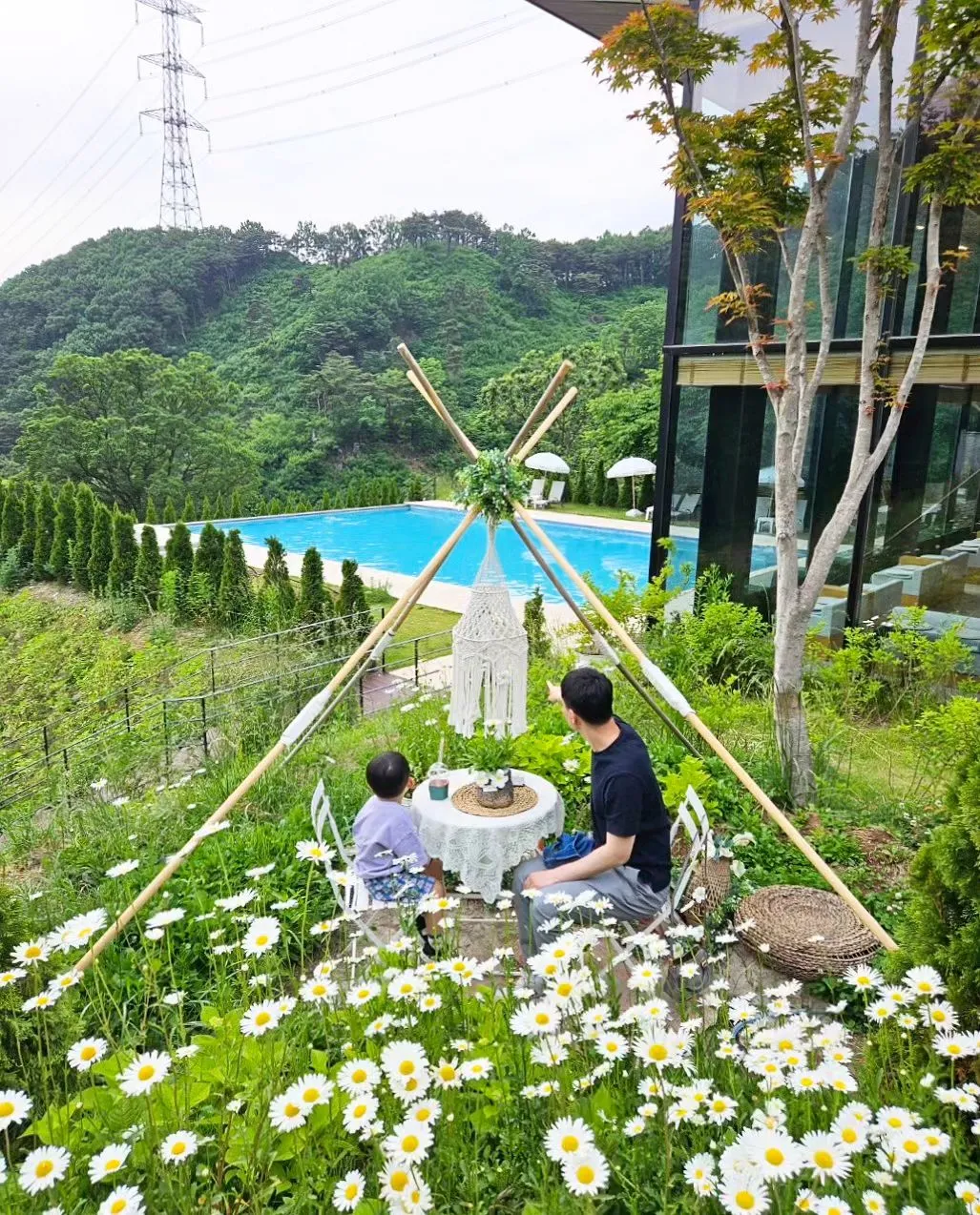 숲너울 사진 14