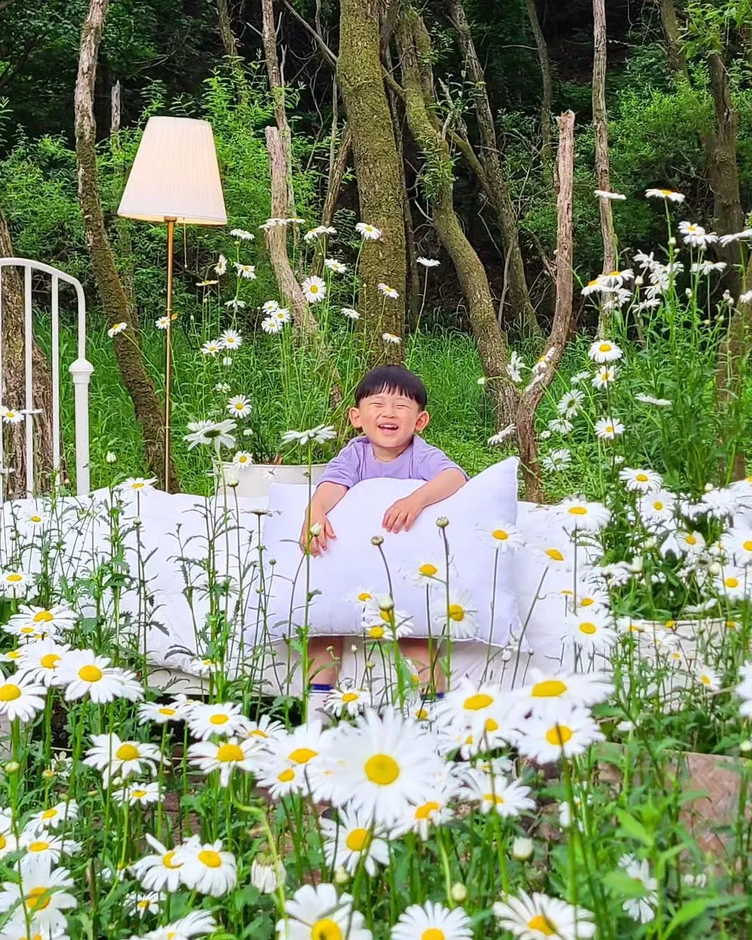 숲너울 사진 6