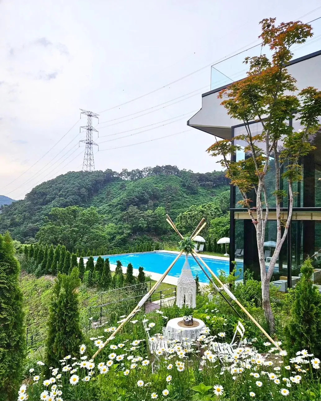 숲너울 사진 13