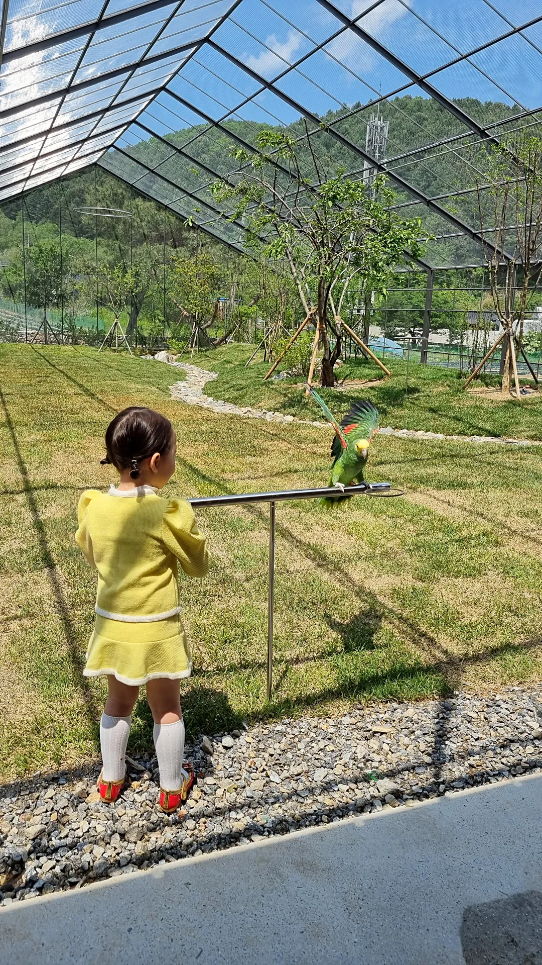 아마조나