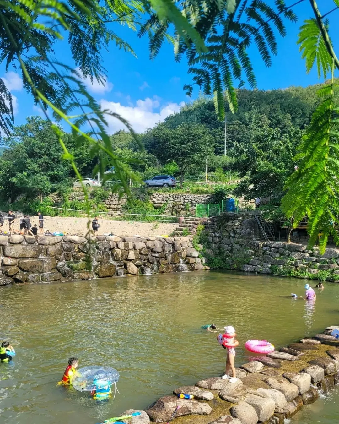 군위 솔밭야영장