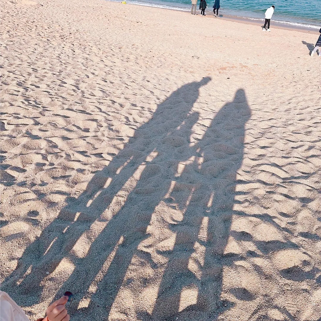 바다정원 사진 10