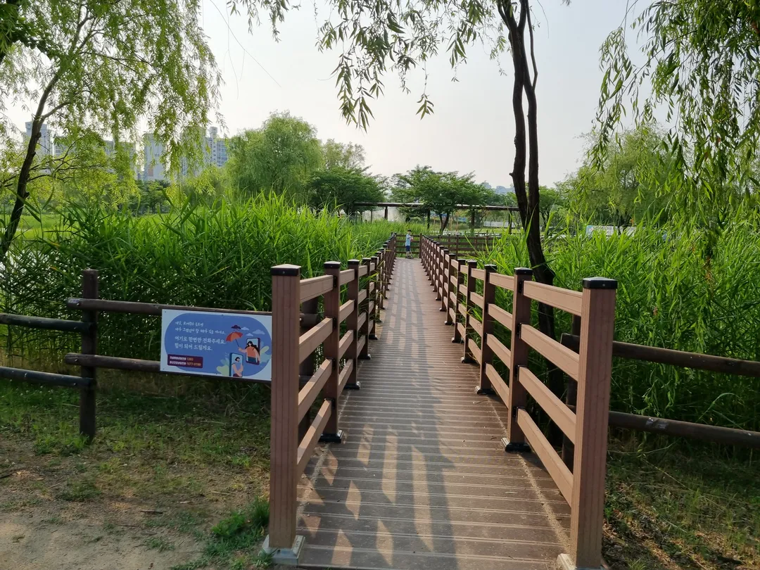 상동호수공원 사진 20