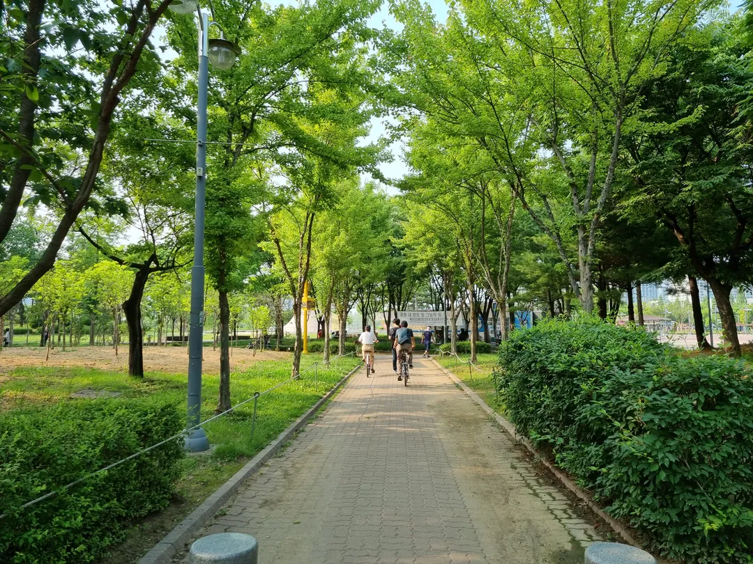 상동호수공원 사진 6
