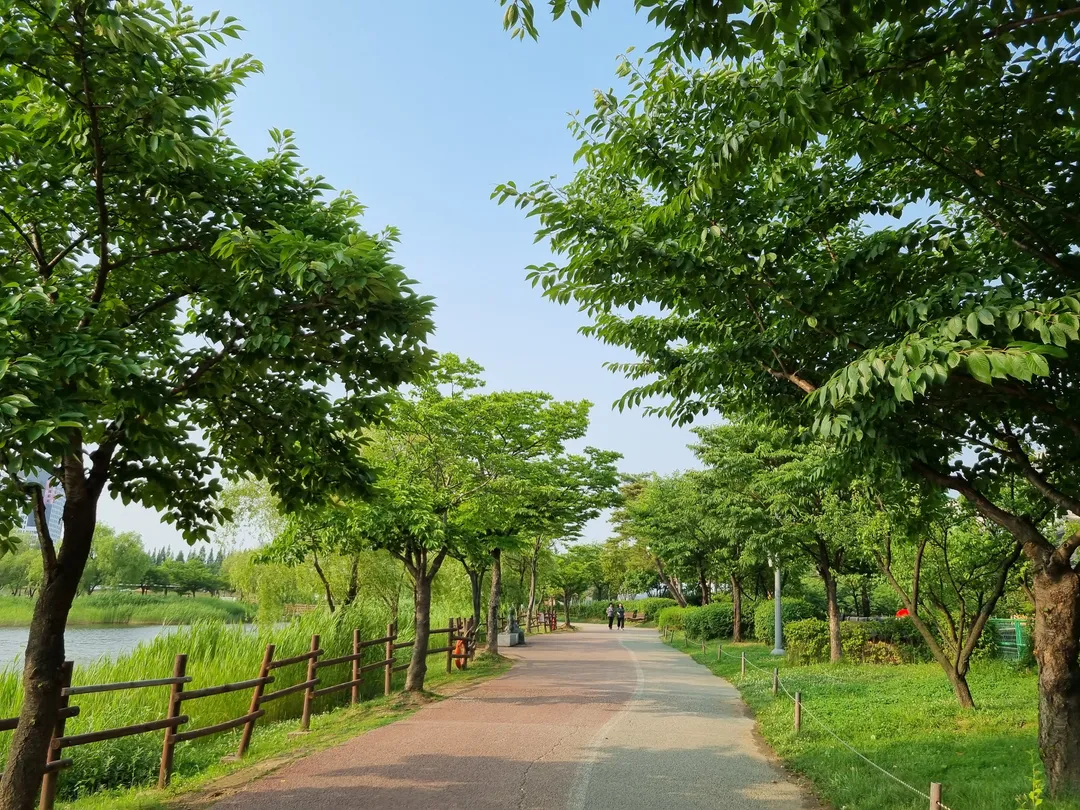 상동호수공원 사진 16