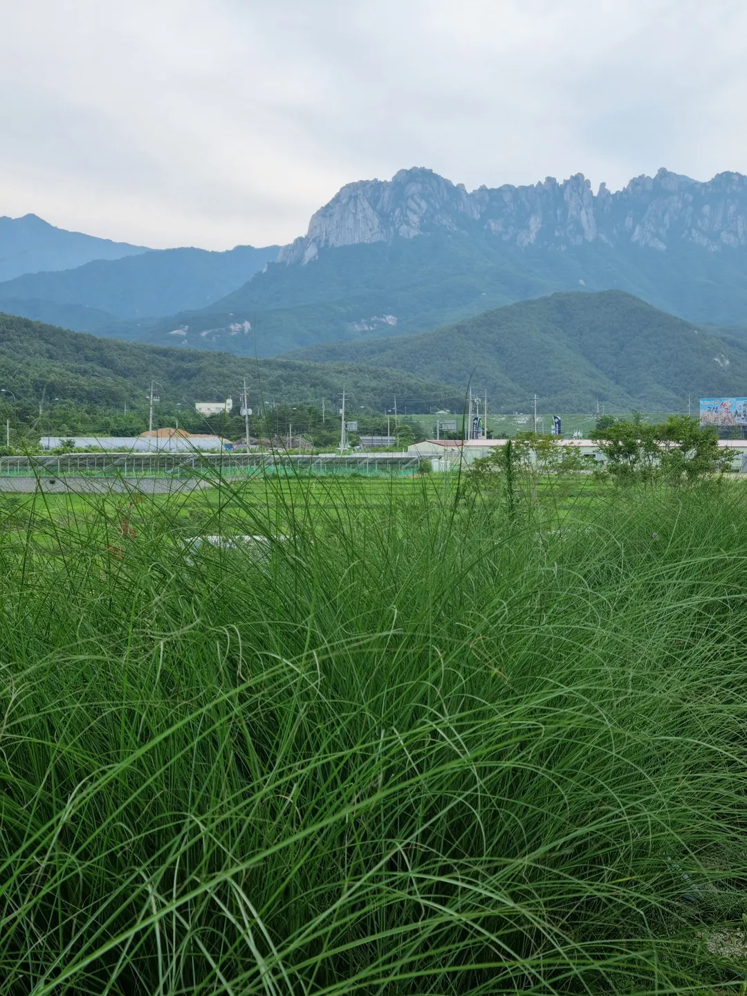 카페 긷 사진 16